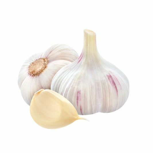 Cesnak voľný kal. 55-60