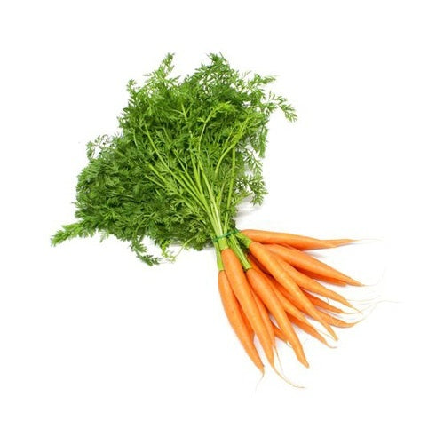 Mrkva zväzok I. Tr.